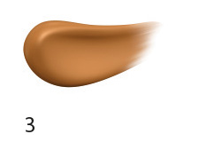 Regina make up With Powder Professional Care 2v1 odstín 03 40 g